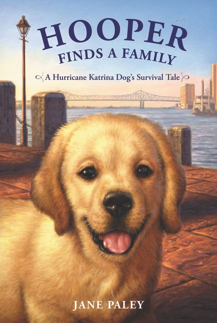 Hooper Finds a Family (A Hurricane Katrina Dog's Survival Tale) - 9780062011053 by Jane Paley