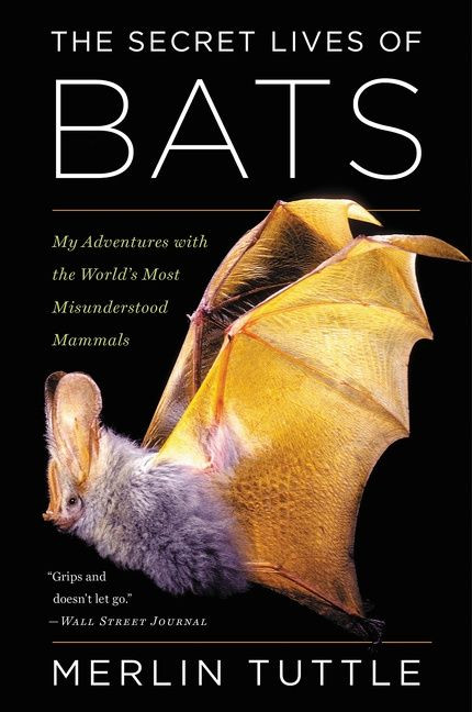 The Secret Lives Of Bats (My Adventures with the World's Most Misunderstood Mammals) by Merlin Tuttle, 9780544815599