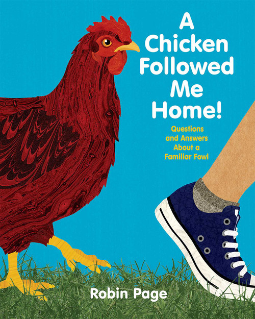 A Chicken Followed Me Home! (Questions and Answers about a Familiar Fowl) by Robin Page, Robin Page, 9781481410281