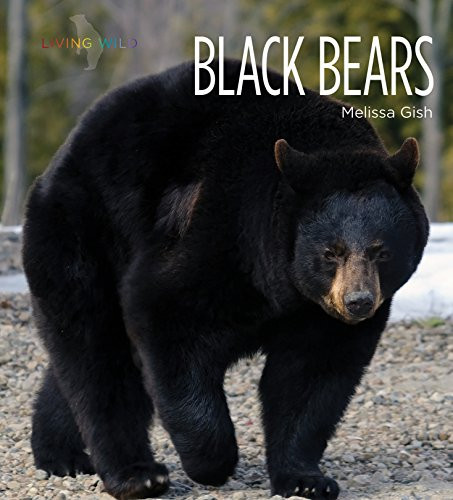 Black Bears - 9781628325614 by Melissa Gish, 9781628325614
