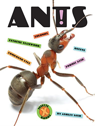 Ants - 9781628326147 by Ashley Gish, 9781628326147