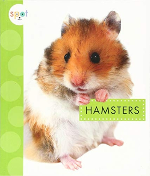 Hamsters - 9781681522890 by Mari Schuh