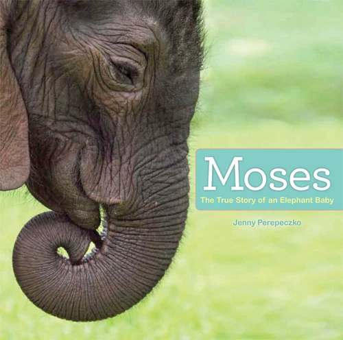 Moses (The True Story of an Elephant Baby) by Jenny Perepeczko, Jenny Perepeczko, 9781442496033