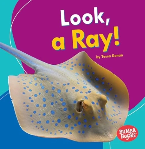 Look, a Ray! - 9781512415070 by Tessa Kenan