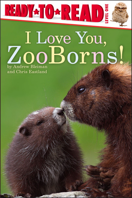 I Love You, ZooBorns! (Ready-to-Read Level 1) by Andrew Bleiman, Chris Eastland, 9781442443808