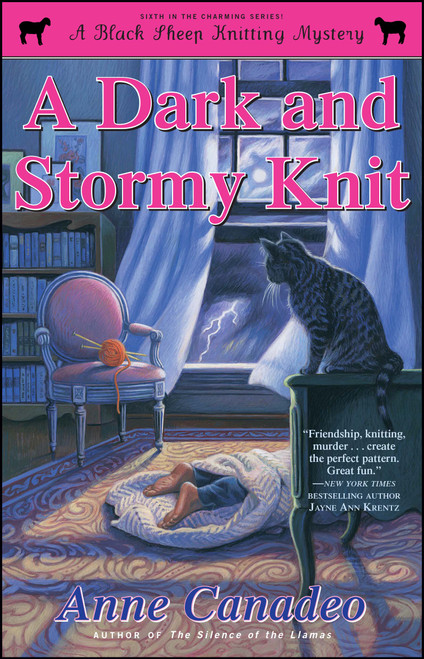 A Dark and Stormy Knit by Anne Canadeo, 9781451644807