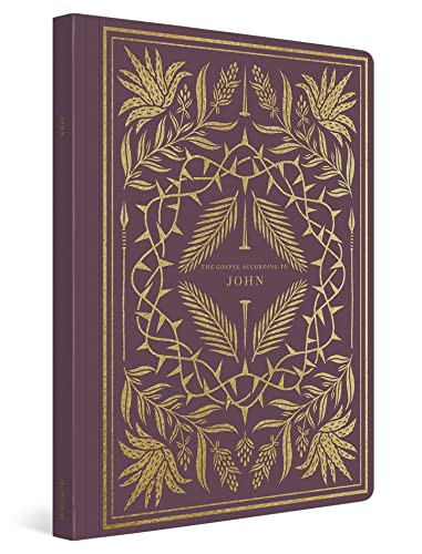 ESV Illuminated Scripture Journal (John (Paperback)) by , 9781433564857