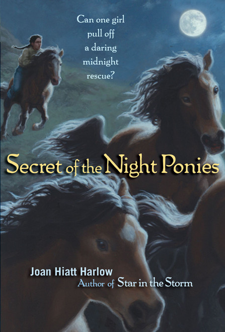 Secret of the Night Ponies by Joan Hiatt Harlow, 9781416907848
