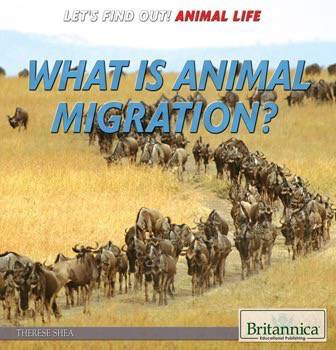 What Is Animal Migration? by Therese M. Shea, 9781680480115