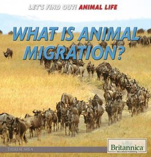 What Is Animal Migration? by Therese M. Shea, 9781680480115