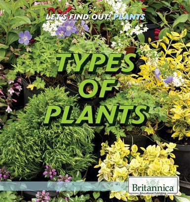 Types of Plants by Maddie Gibbs, 9781538302026
