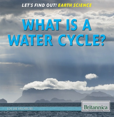 What Is the Water Cycle? by Louise Spilsbury, 9781622752645