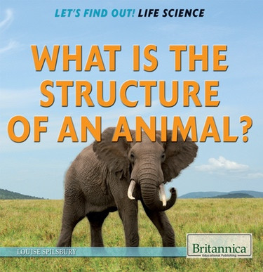 What Is the Structure of an Animal? by Louise Spilsbury, 9781622752492