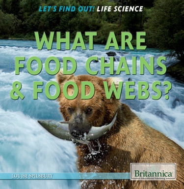What Are Food Chains & Food Webs? by Louise Spilsbury, 9781622752393