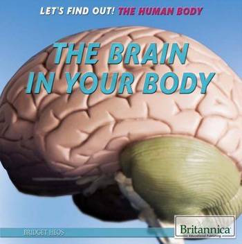 The Brain in Your Body by Bridget Heos, 9781622756377