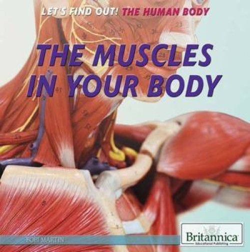 The Muscles in Your Body by Bobi Martin, 9781622756520