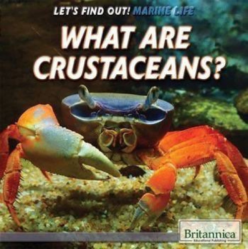What Are Crustaceans? by Therese M. Shea, 9781508103868