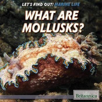 What Are Mollusks? by Sarah Machajewski, 9781508103882