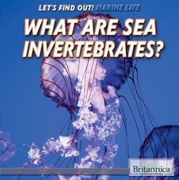 What Are Sea Invertebrates? by Julia J. Quinlan, 9781508103905