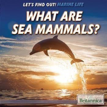 What Are Sea Mammals? by Josie Keogh, 9781508103912