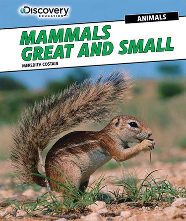 Mammals Great and Small by Meredith Costain, 9781477769416
