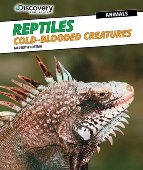 Reptiles: Cold-Blooded Creatures by Meredith Costain, 9781477769379