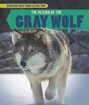 The Return of the Gray Wolf by Caitie McAneney, 9781508156253