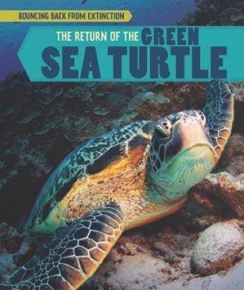 The Return of the Green Sea Turtle by Melissa Raé Shofner, 9781508156246