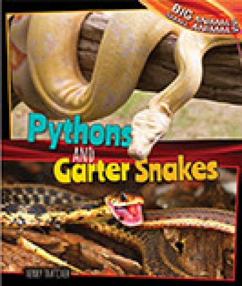 Pythons and Garter Snakes by Henry Thatcher, 9781477761113