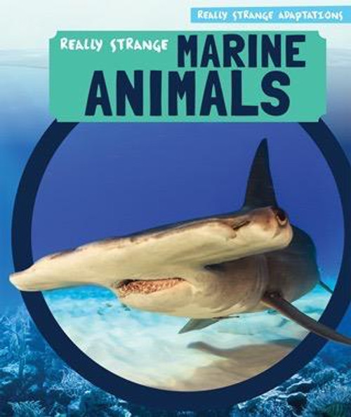 Really Strange Marine Animals by Caitie McAneney, 9781499427387
