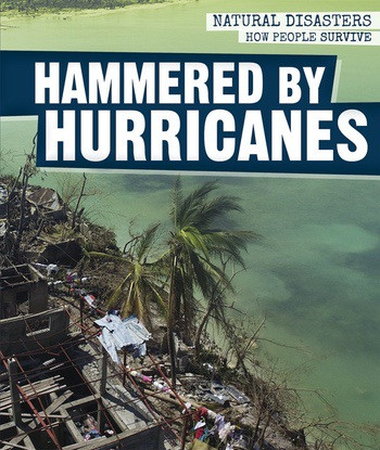 Hammered by Hurricanes by Melissa Raé Shofner, 9781538326305