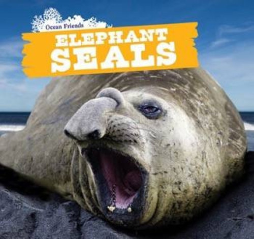 Elephant Seals by Maci Dessen, 9781508141686