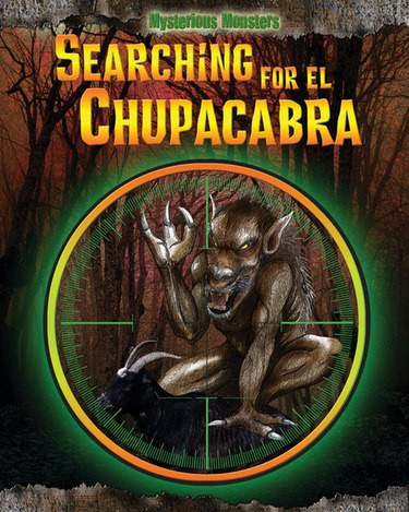 Searching for el Chupacabra by Jennifer Rivkin, 9781477771143
