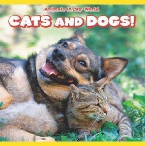Cats and Dogs! by Andrea Palmer, 9781538321898