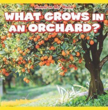 What Grows in an Orchard? by Elise Collier, 9781508161592