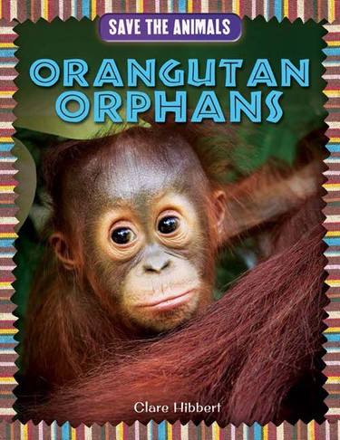 Orangutan Orphans by Clare Hibbert, 9781477759059