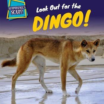 Look Out for the Dingo! by Amy Austen, 9781499408782
