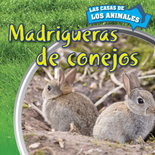 Madrigueras de conejos (Inside Rabbit Burrows) by Liz Chung, 9781499405675