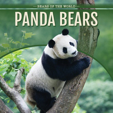Panda Bears by Mary Austen, 9781508149545