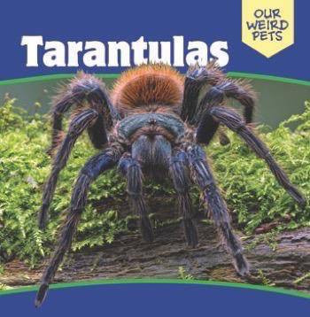 Tarantulas by Patrick Hely, 9781508154198