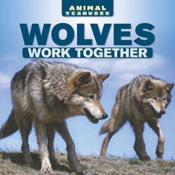 Wolves Work Together by Mike Scout, 9781508155492