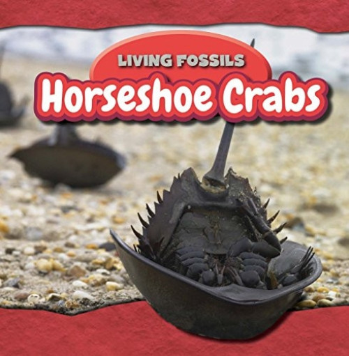 Horseshoe Crabs by Annie Wendt Hemstock, 9781477758267
