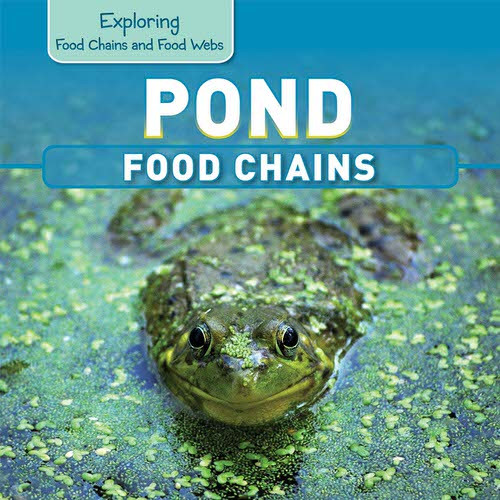 Pond Food Chains by Katie Kawa, 9781499402032