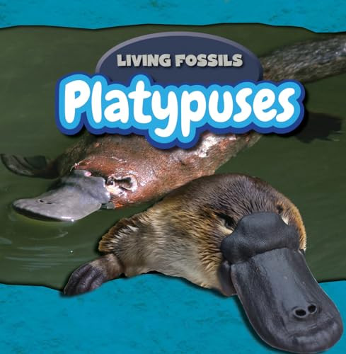 Platypuses by Caitie McAneney, 9781477758359