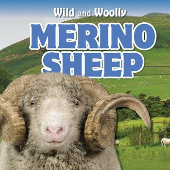 Merino Sheep by Rosaura Esquivel, 9781538326039