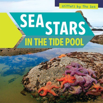 Sea Stars in the Tide Pool by Jo Marie Anderson, 9781538325919