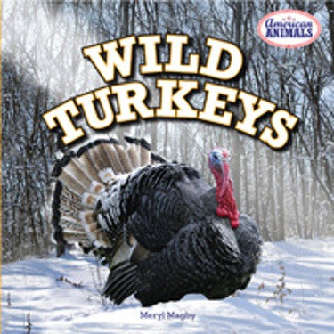 Wild Turkeys by Meryl Magby, 9781477709467
