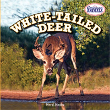 White-Tailed Deer by Meryl Magby, 9781477709566