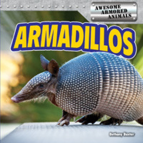 Armadillos - 9781477709665 by Bethany Baxter