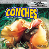 Conches by Bethany Baxter, 9781477709641